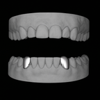 2 Canine Grillz