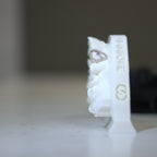 Iced Thunderbolt Grillz