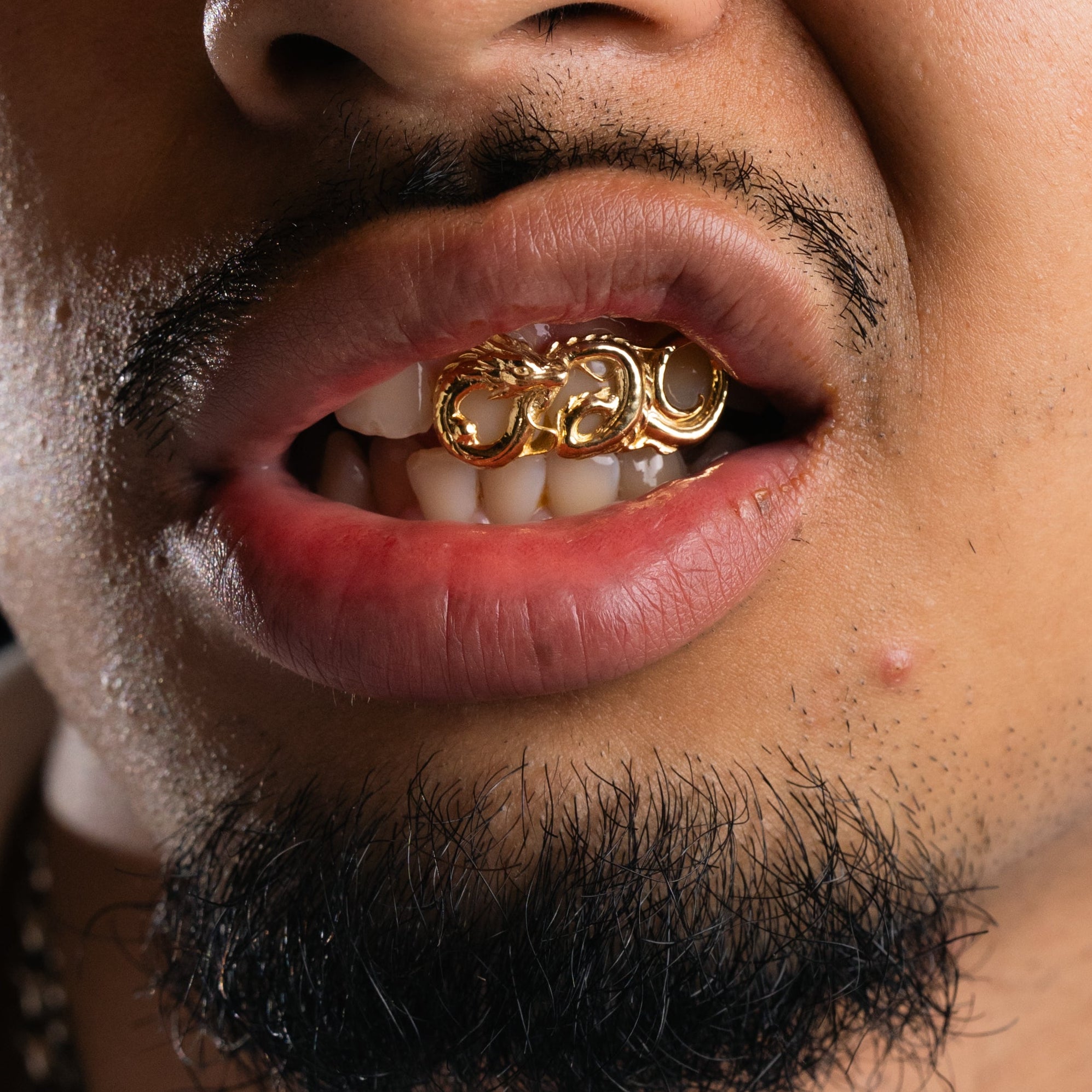 Dragon Grillz