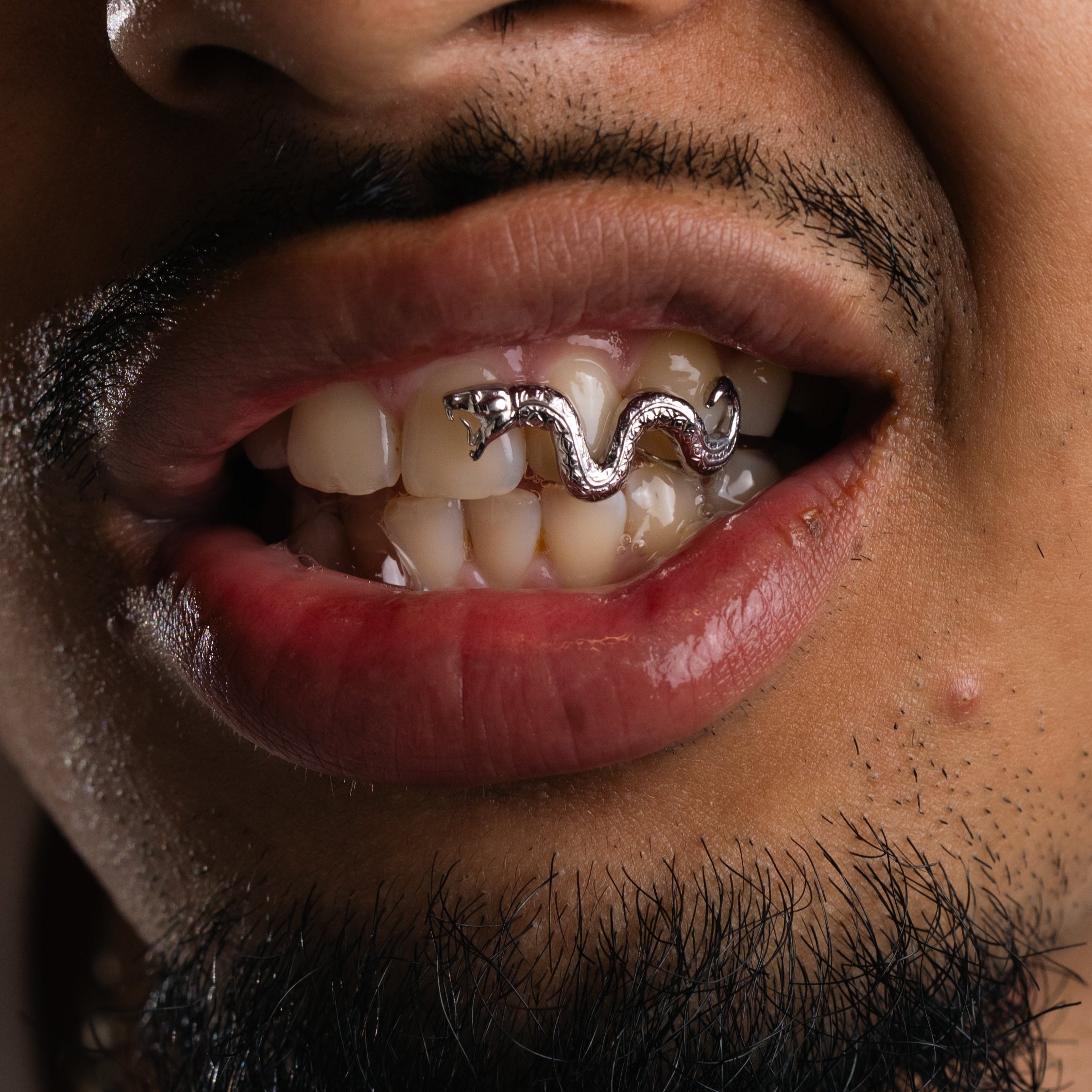 Snake Grillz