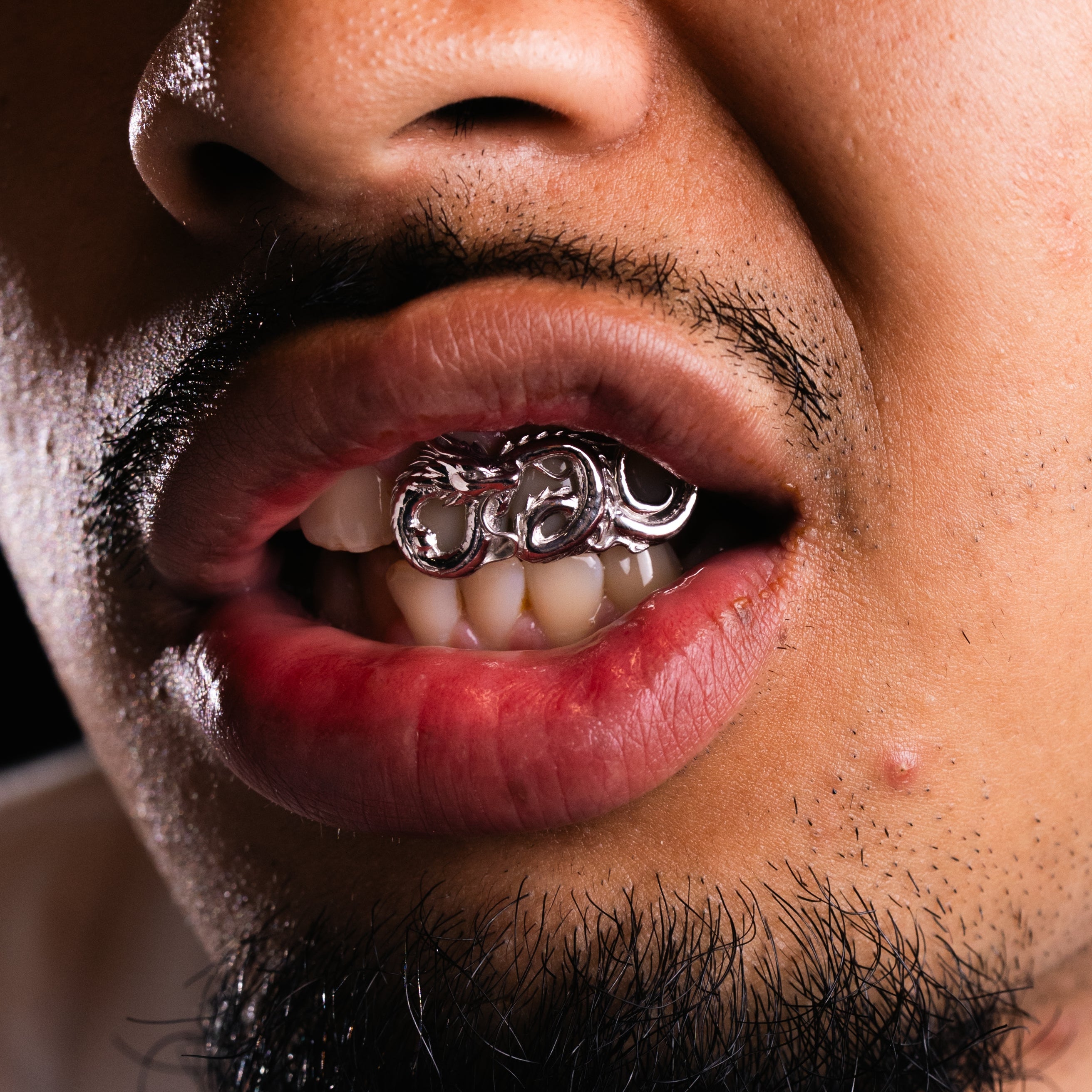 Dragon Grillz